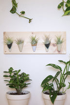 Carter + Rose, Horizontal Wall Planter
