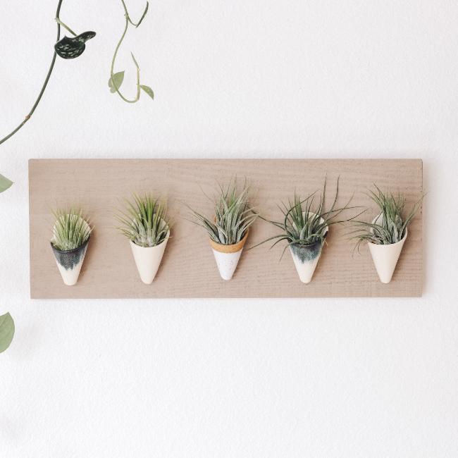 Carter + Rose, Horizontal Wall Planter