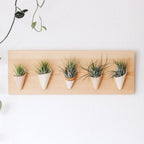 Carter + Rose, Horizontal Wall Planter