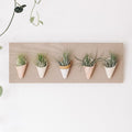Carter + Rose, Horizontal Wall Planter