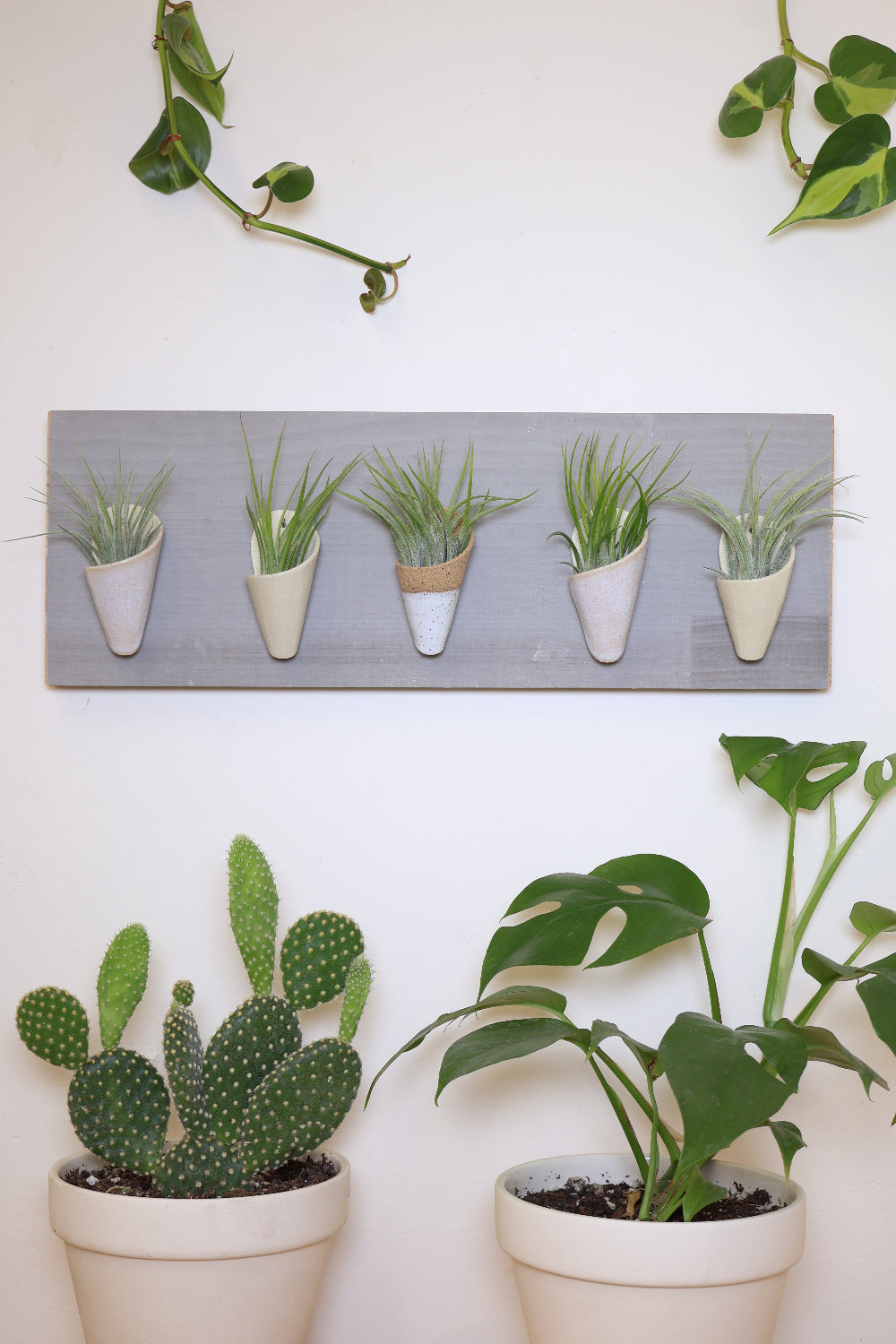 Carter + Rose, Horizontal Wall Planter
