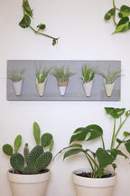 Carter + Rose, Horizontal Wall Planter