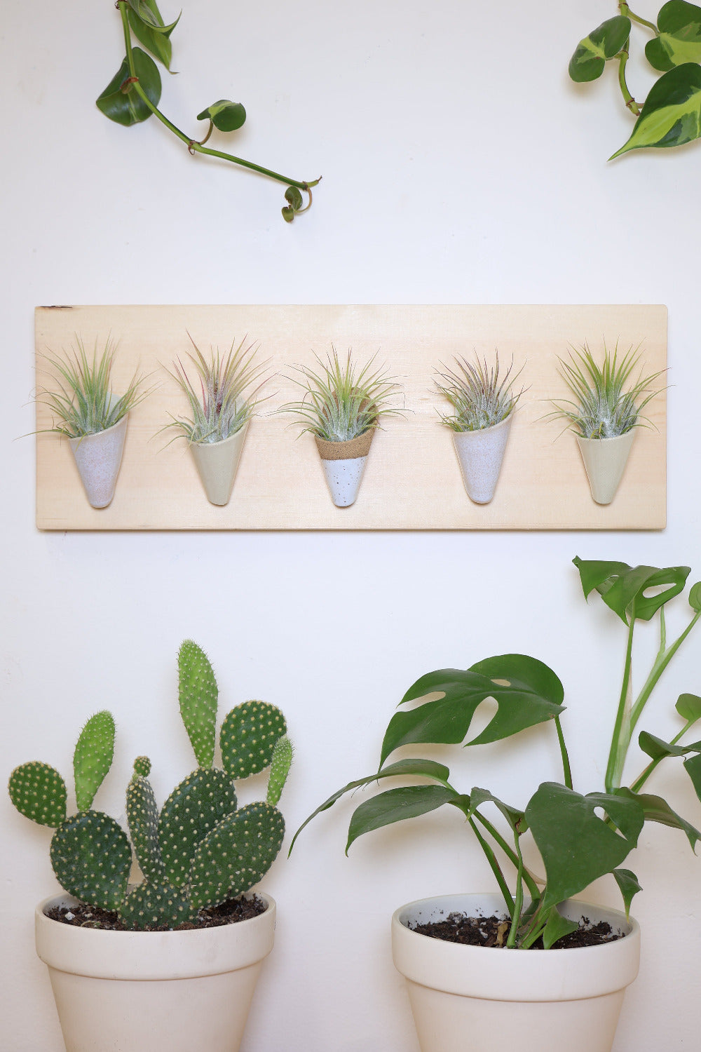 Carter + Rose, Horizontal Wall Planter
