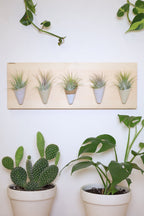 Carter + Rose, Horizontal Wall Planter