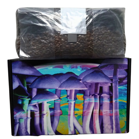 Unleash the Fungi: 6lb All In One Mushroom Grow Bag