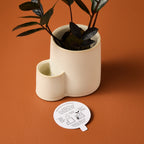 Ember Earth Candle + Planter