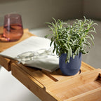 Garden Vibes Candle/Planter 2-in-1