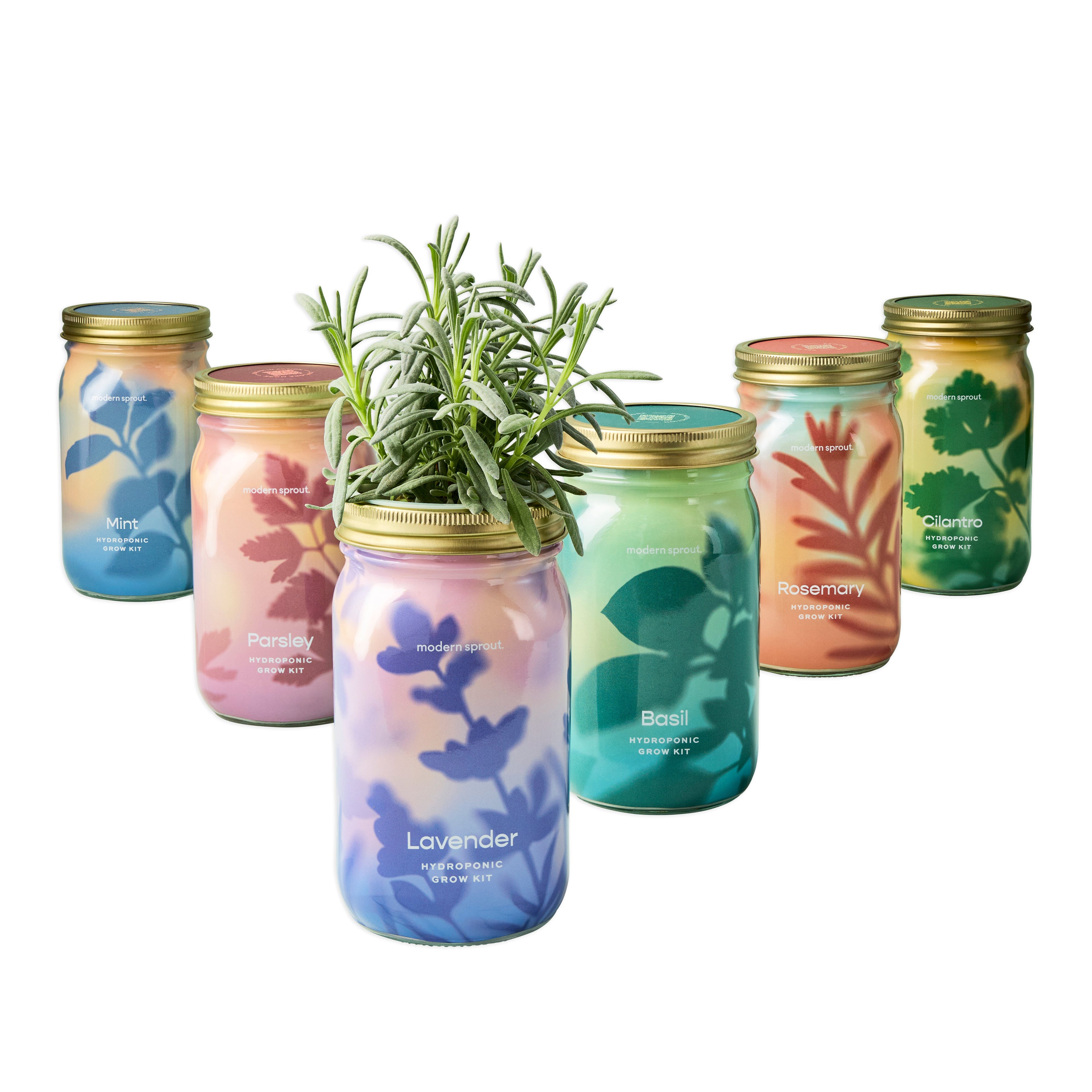 Garden Jars - Organic Herbs