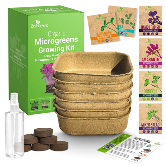 ZestiGreens Microgreen Grow Kit