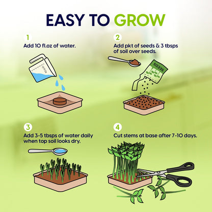 ZestiGreens Microgreen Grow Kit