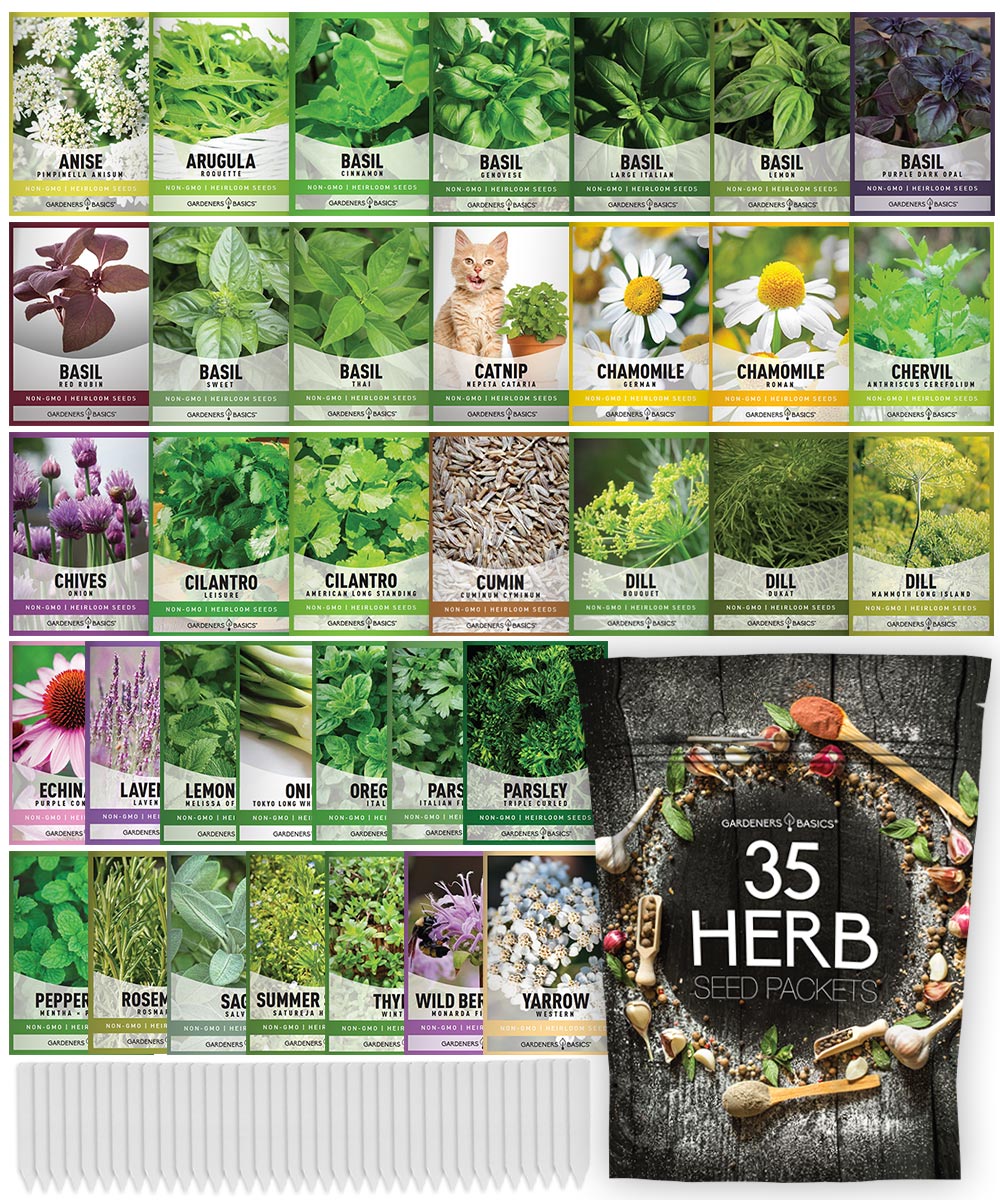 35 Herb Seeds for Planting | Medicinal & Culinary Variety Pack