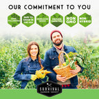 12 Vegetable Seed Collection – Heirloom Non-GMO Garden Vegetables & Herbs for Home Growing