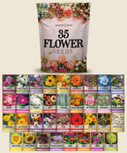 Wildflower, Perennial, & Annual Flower Seed Kit | 35 Variety Pack