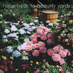 Wildflower, Perennial, & Annual Flower Seed Kit | 35 Variety Pack