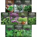 Indoor Herb Garden Seeds Variety Pack – 10 Heirloom Culinary Herbs for Windowsill or Container Growing