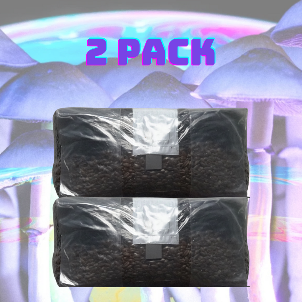 Unleash the Fungi: 6lb All In One Mushroom Grow Bag