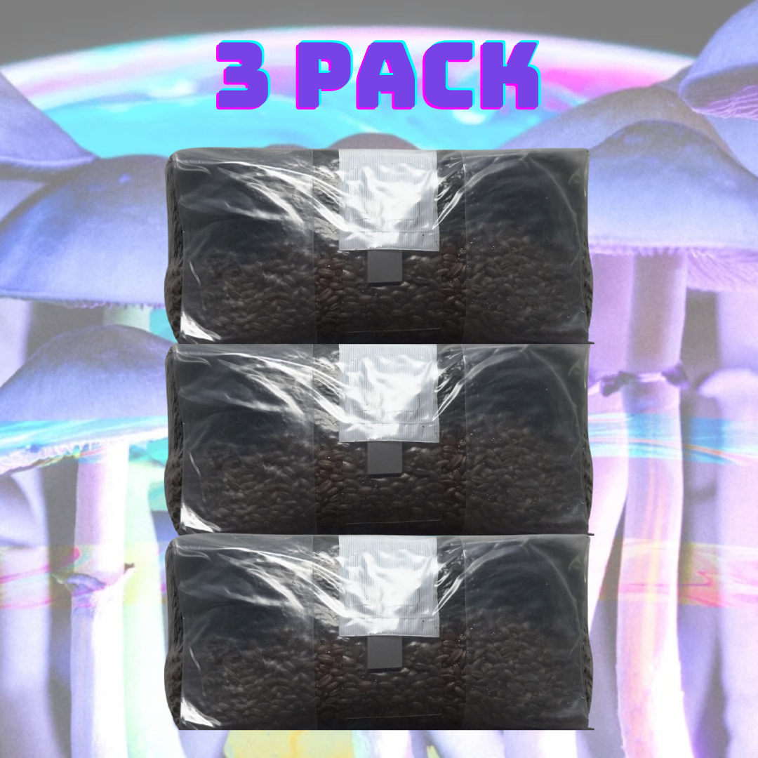 Unleash the Fungi: 6lb All In One Mushroom Grow Bag