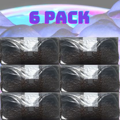 Unleash the Fungi: 6lb All In One Mushroom Grow Bag