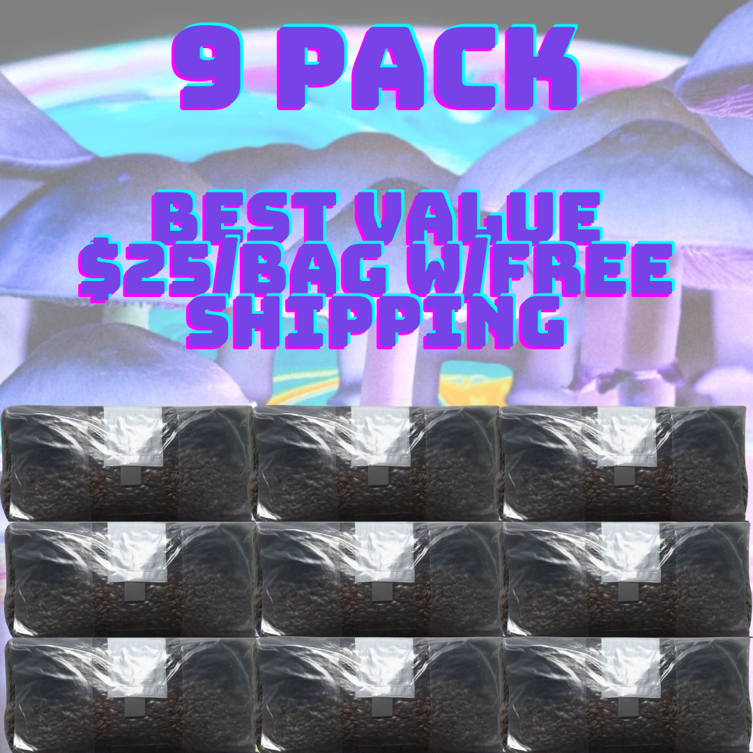 Unleash the Fungi: 6lb All In One Mushroom Grow Bag