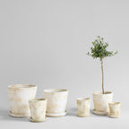 Basic Planter Tray, White Patina