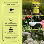 Pots & Planters