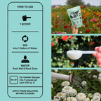 Bloom & Bed