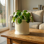 Mid-Century Ribbed Planter with Drainage and Saucer in Multiple Colors, 3D Printed Planter with Unique Modern Design, Lightweight, Wave