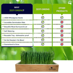 Organic Wheatgrass Growing Kit, Self Watering