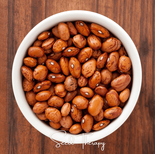 Pinto Bean – 20 Seeds